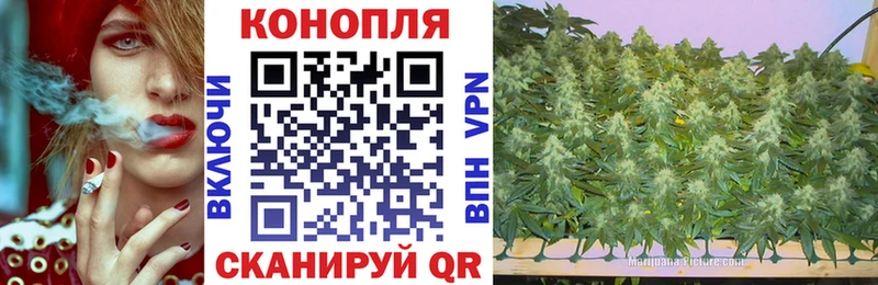 Бошки марихуана марихуана Монино